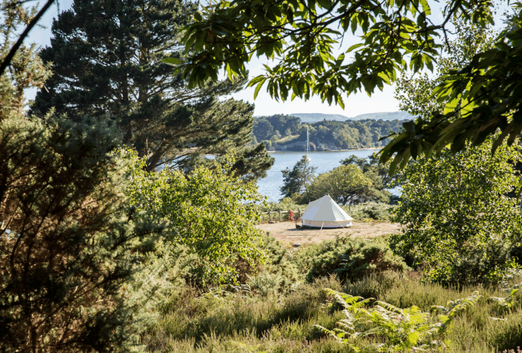 Brownsea Island Campground