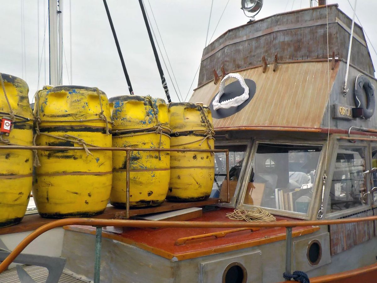 Tiger sharks on the wheelhouse ('not real!') check out the Orca 11 yellow barrels