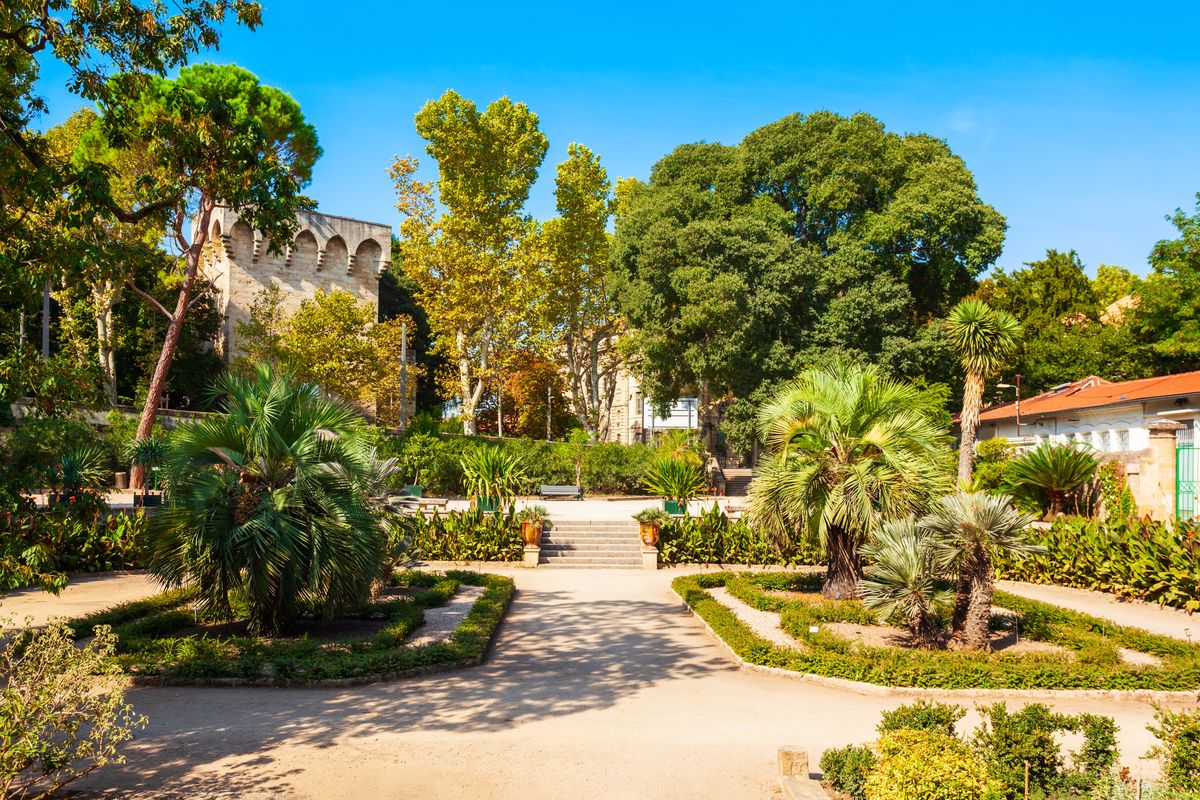 A botanical garden in Montpellier, France