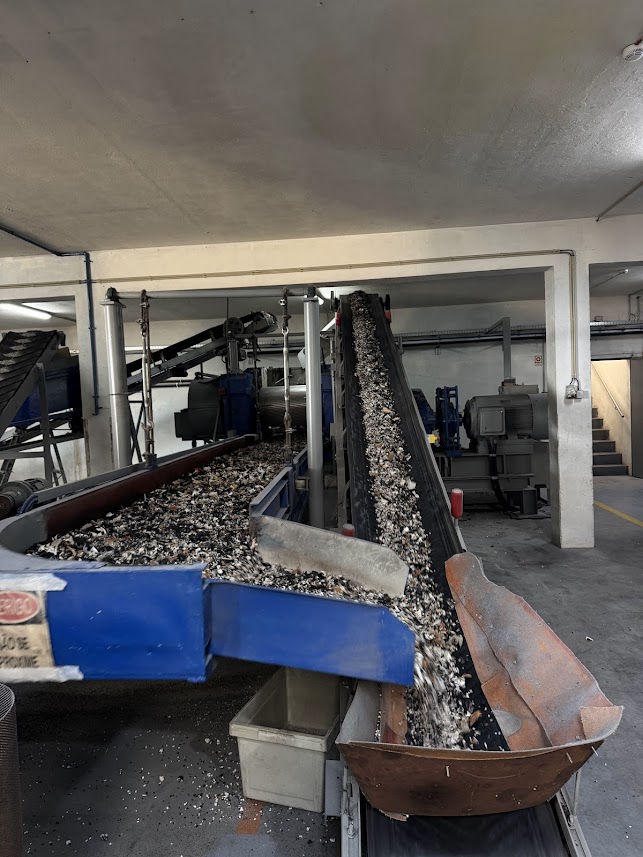 Behind the scenes at a Portuguese shoe factory.