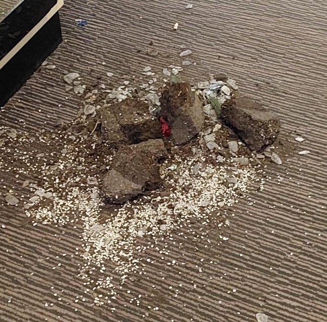 BNPS.co.uk (01202 558833) Pic: BNPS Image: Hotel damage AND VIDEO https://youtu.be/rgBDL3BmkRc Two drunken women who trashed a hotel reception after being asked to leave have been banned from all pubs, bars, nightclubs and hotels in the UK. Kera McKeown and Larisa Sumovskaja, both 19, left a 'trail of destruction' at the Trouville Hotel in Bournemouth, Dorset. The couple were caught on camera causing a ruckus when another friend, Jasmine Orchard, was 'dragged' with them after receptionist Signe Ivane asked them to leave as they were not guests.