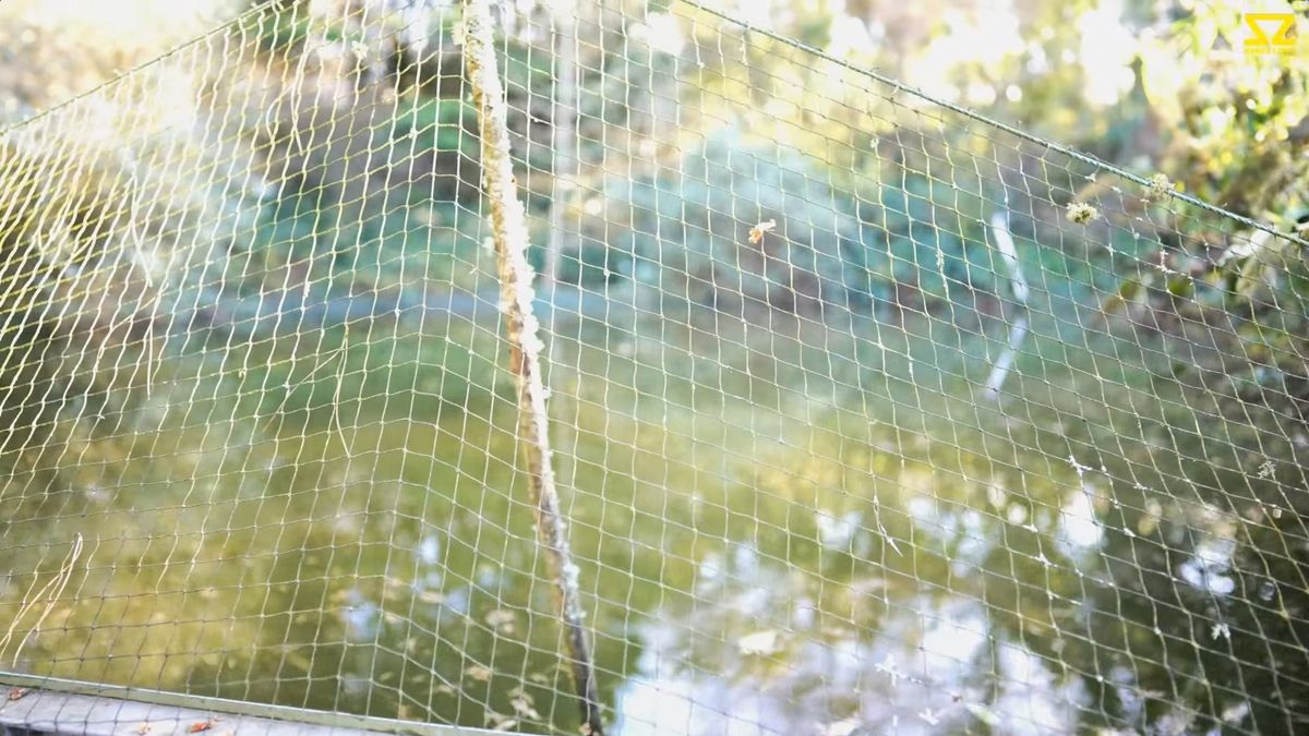 There are other plans for five more houses