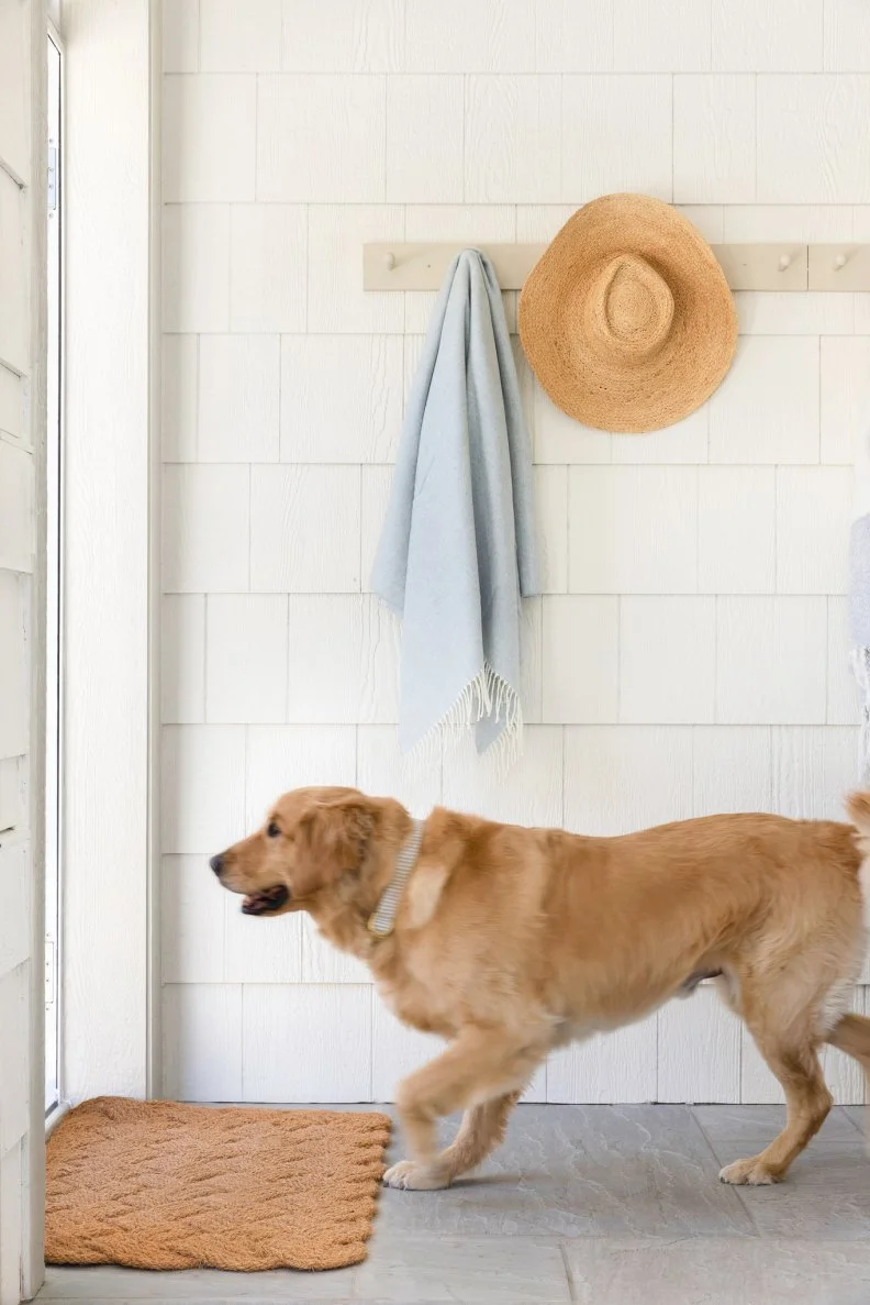 Covered Porch with Hat Rack and Golden Retriever A white room with a hat rack and a golden retriever.
