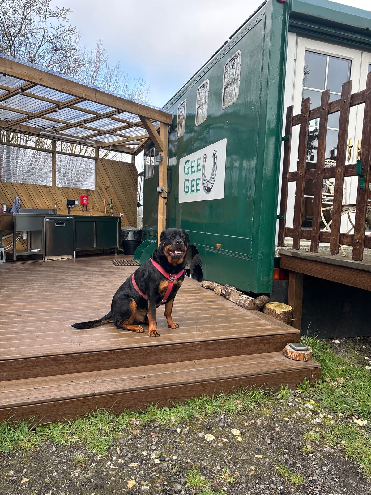 The whole place was amazingly dog ​​friendly