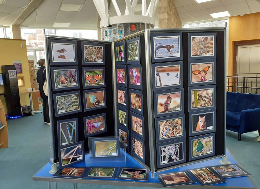 Brownsea exhibition at Swanage library
