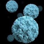 Norovirus causes an estimated 2.2 million cases of gastroenteritis each year
