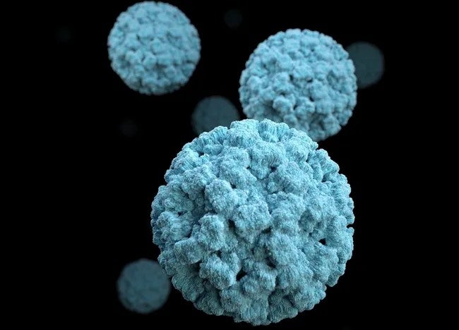 Norovirus causes an estimated 2.2 million cases of gastroenteritis each year