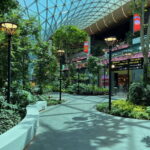 Will Gulf Airlines Completely Survive Iran Attacks? If so, when?